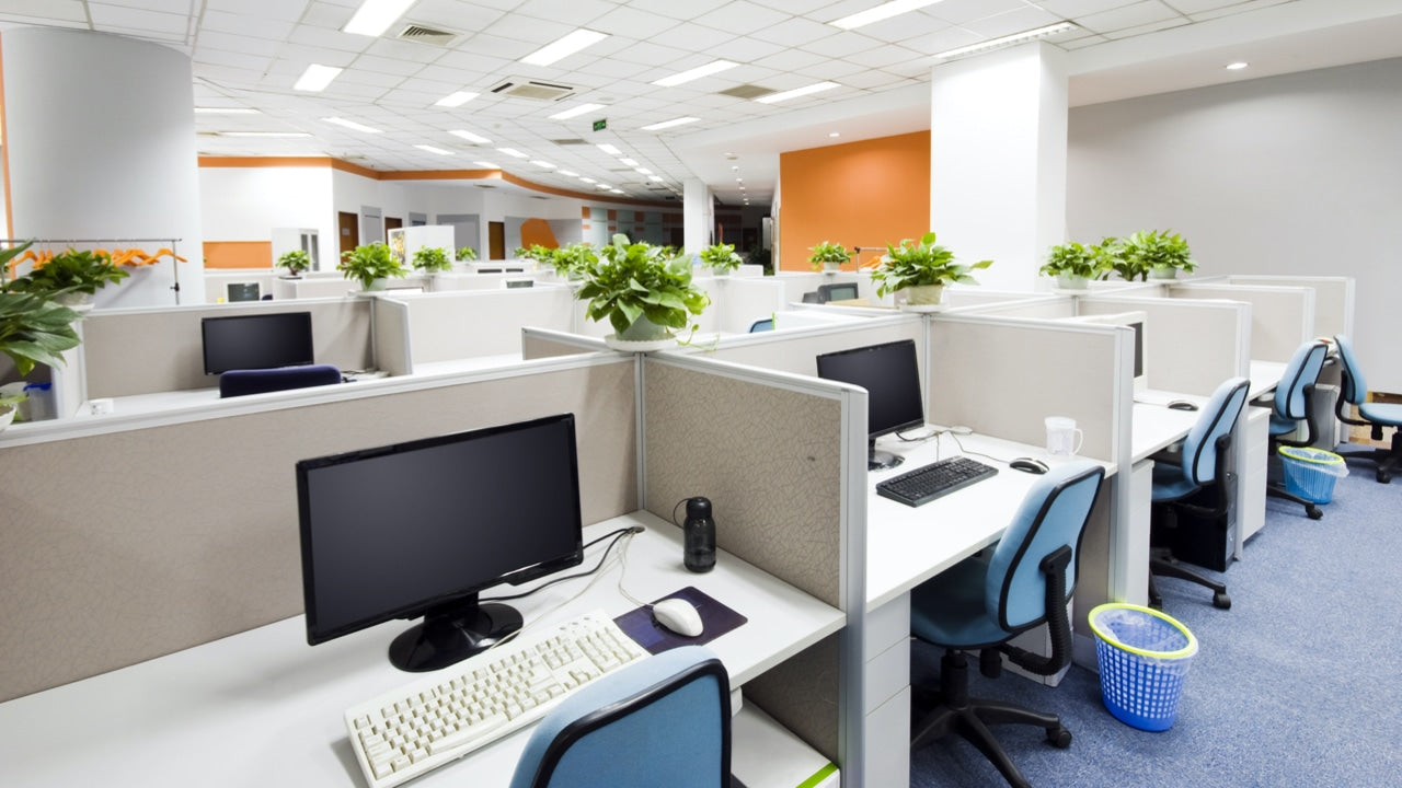 Office Cleaning